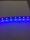 Led-Streifen 24V,14,4W/M ,UV 395-400nm,IP20 2499