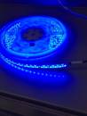 Led- Streifen 9,6 W/M,24V,Blau,IP65; 2750
